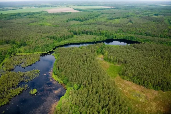 Gmina Osina szuka Kierownika USC – trwa nabór na stanowisko urzędnicze