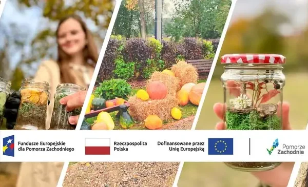 Festiwal Wołowiny w Nowogardzie: podsumowanie wydarzenia