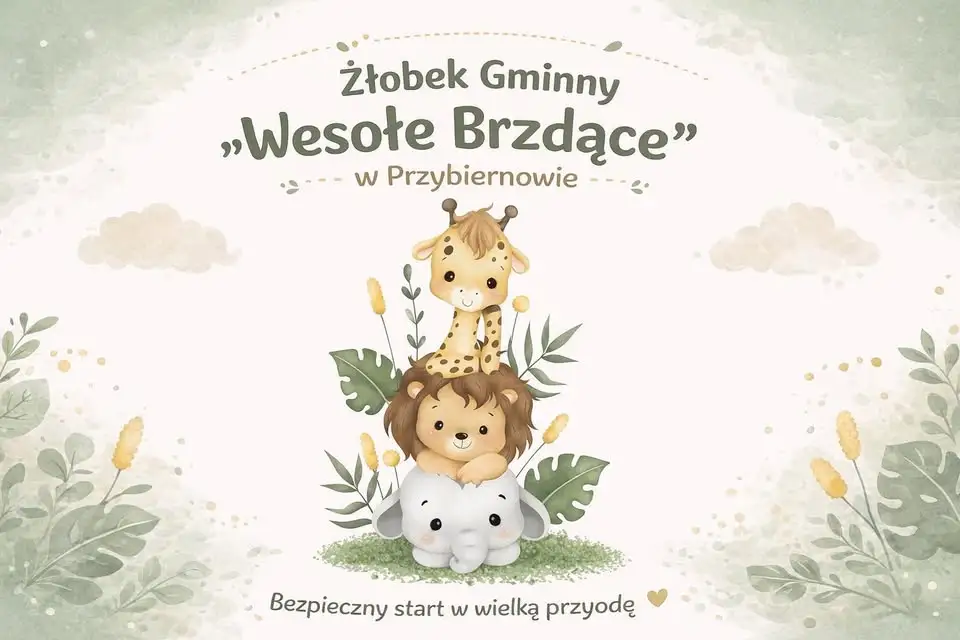 Cytrynowa akcja dla Nikolki: 5 000 zł w puszkach i ponad 70 000 zł na koncie zbiórki