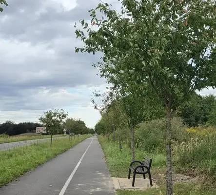 Nowe ławki na Plantach i ul. Nowogardzkiej w Goleniowie