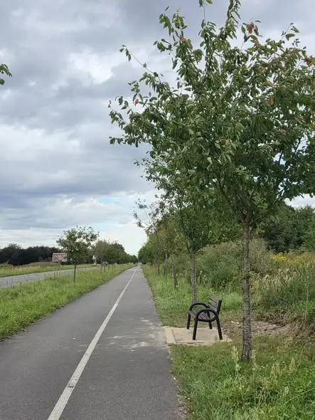 Nowe ławki na Plantach i ul. Nowogardzkiej w Goleniowie