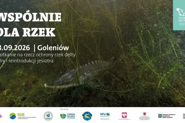Wspólnie dla rzek – Goleniów świętuje powrót jesiotra do Iny