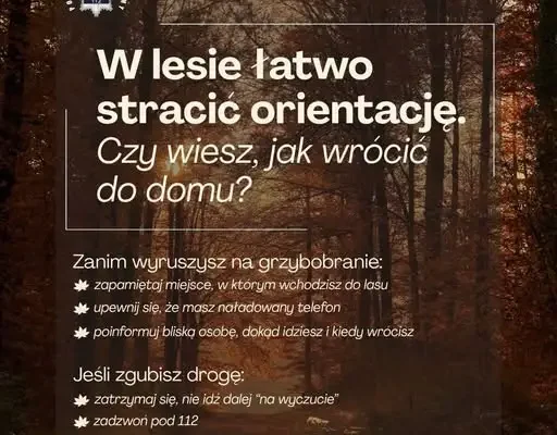 76-letnia grzybiarka zgubiła się w lesie. Pomógł policyjny śmigłowiec