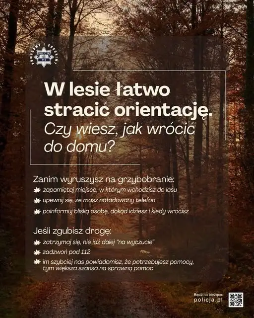 76-letnia grzybiarka zgubiła się w lesie. Pomógł policyjny śmigłowiec